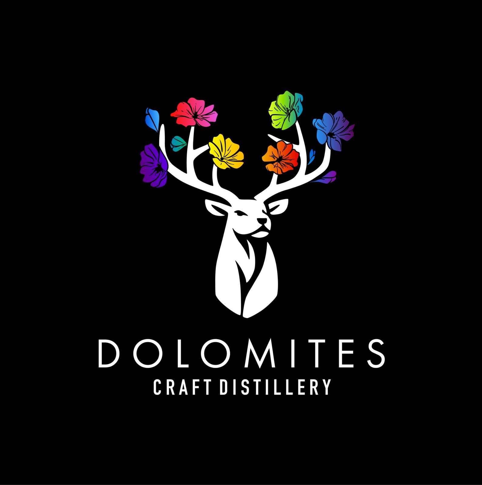 Dolomites Distilleria Artigianale
